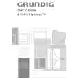 GRUNDIG M95-411/9/PIP Instrukcja Obsługi