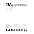 GRUNDIG M95-102IDTV Instrukcja Obsługi